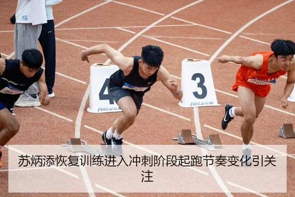 苏炳添恢复训练进入冲刺阶段起跑节奏变化引关注
